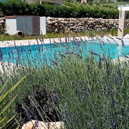 Villa MiRò, stupenda villa con piscina privata Castellammare del Golfo Esterno foto